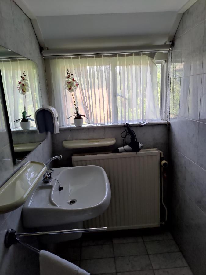 Vrijstaande Rietgedekte Villa Nabij Uitvalswegen Wassenaar Εξωτερικό φωτογραφία