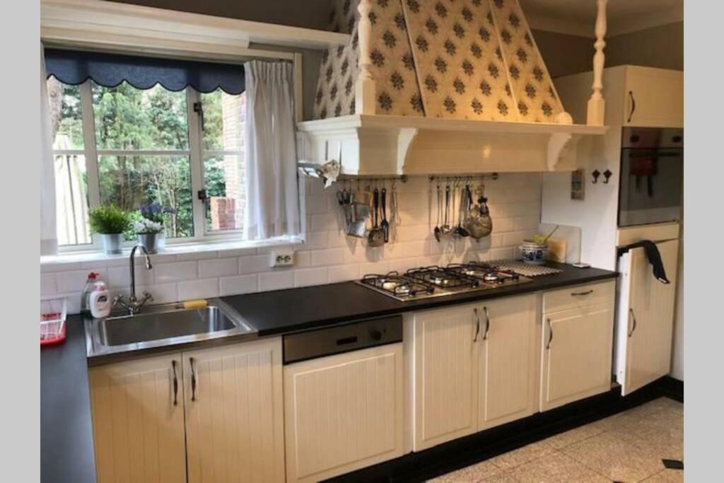 Vrijstaande Rietgedekte Villa Nabij Uitvalswegen Wassenaar Εξωτερικό φωτογραφία